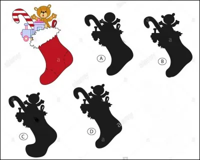 Quelle silhouette est celle du dessin ?