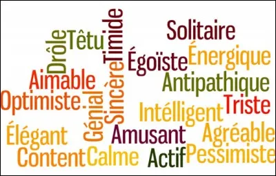 Qu'est-ce qui te représente le mieux ?