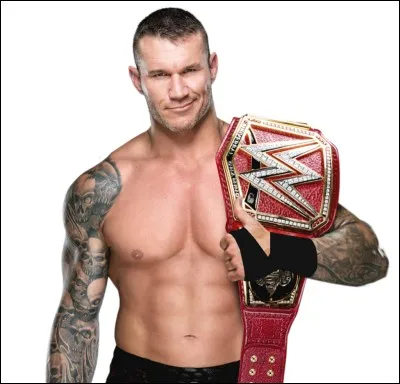 Dans quel club Nicolas Anelka n'a-t-il pas joué ?