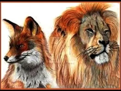 Son bébé se nomme « lionceau ».