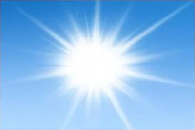 Je suis une fleur tropicale. 
Je suis...