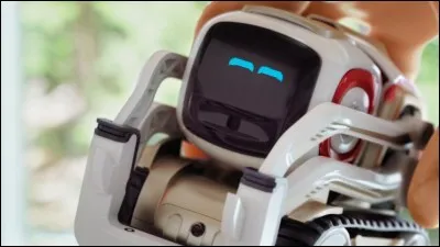 Comment s'appelle ce robot IA ?