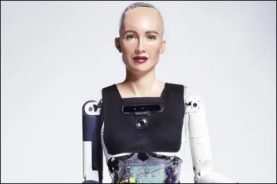 Comment s'appelle le premier robot humanoïde, citoyen ?