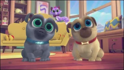 Comment s'intitule ce dessin animé ?