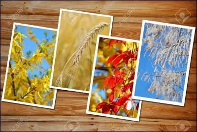 Ta saison préférée ?