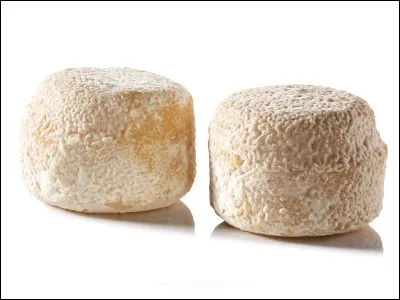 Selles de chevaux, c'est le...