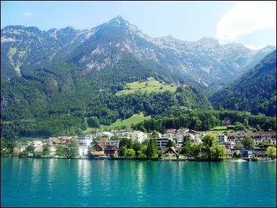 Quelle industrie fait la renommée de la petite ville d'Hergiswil, située sur les rives du lac ?