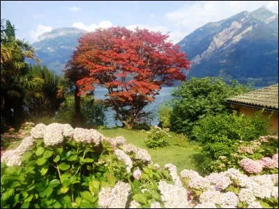 Quelle localité, la plus petite des bords du lac, est connue pour son microclimat qui offre une végétation que l'on ne trouve nulle part ailleurs sur ses rives ?
