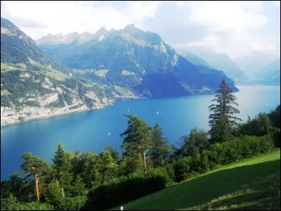 Selon la légende, c'est dans une prairie au bord du lac des Quatre-Cantons qu'aurait été posé l'acte fondateur de la Confédération Helvétique au treizième siècle. Ce site est d'ailleurs désormais classé comme Monument National. Comment se nomme-t-il ?