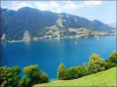 Quelle elle la partie la plus méridionale du lac des Quatre-Cantons ?