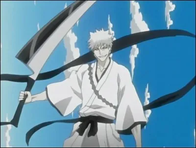 Comment Ichigo a eu son holo intérieur ?