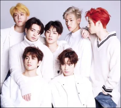 Qui est le leader des Got7 ?