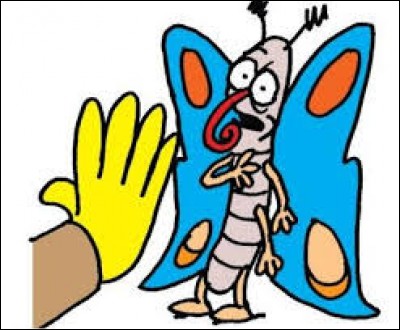 Dans une célèbre expression, quel insecte est associé au mot "minute" ?