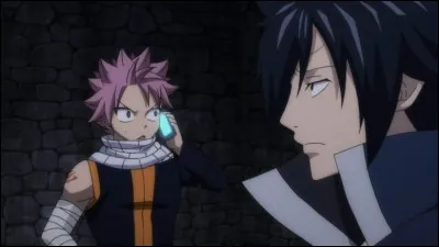 Les pouvoirs de Grey ont :