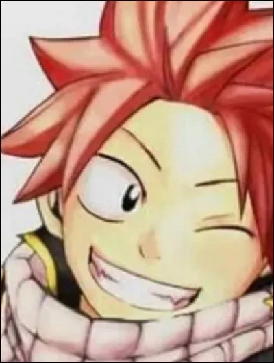 Qui est le frère de Natsu ? ( dsl pour les gribouillis : x )