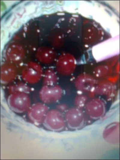 Les griottines de Fougerolles sont une spécialité de quel département ?