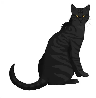 Quels sont ses apprentis ?