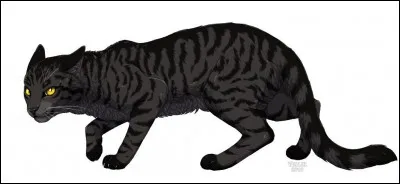 Dans quel livre le d&eacute;couvre-t-on ?