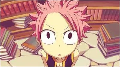 Quel âge a Natsu ?