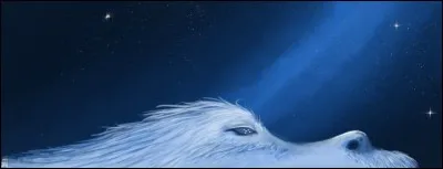 De quelle histoire viennent "Fin Raziel", "Sorsha" et "Bavmorda" ?