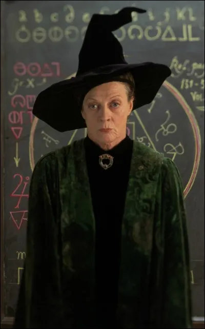 Quelle matière enseigne Minerva McGonagall ?