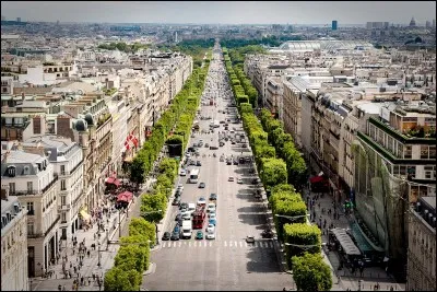 Qui chante "Les Champs-Élysées" ?