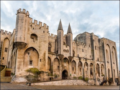 Quel est le surnom de la ville d'Avignon, dans le Vaucluse ?
