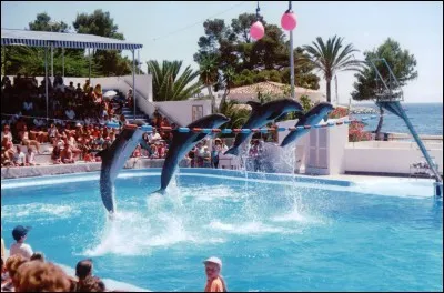 Dans quelle ville l'Espace Marineland et le mus&eacute;e Picasso se trouvent-ils ?