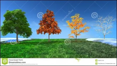 Votre saison préférée est :