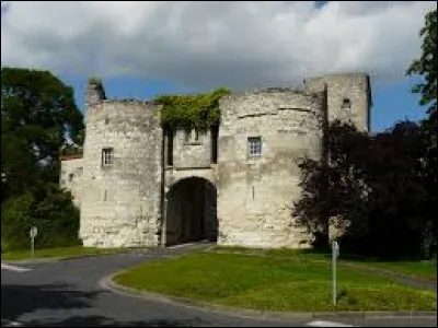 Cette ville de la Vienne, avec son centre historique entouré de remparts, située dans le nord du département, c'est :