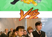 Quiz La Guerre des Clans vs Harry Potter