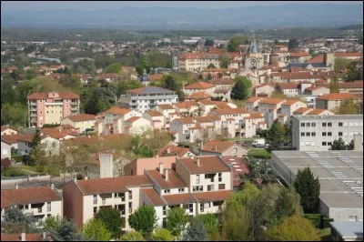 Considérée comme la capitale historique du Forez, cette ville est devenue la préfecture de la Loire. Elle le reste jusqu'en 1855. Il s'agit de :