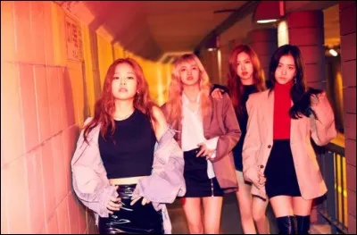 Avec quelle chanson ont-elles débuté ?