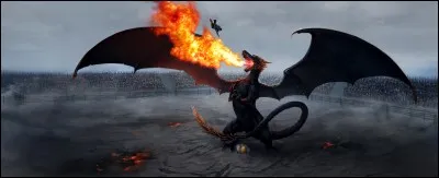 Quelle est la particularité du Dirico ?