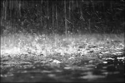 Ce pays est surtout connu pour sa pluie. C'est...