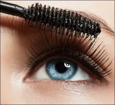 Lequel de ces modèles de mascara n'existe pas ?