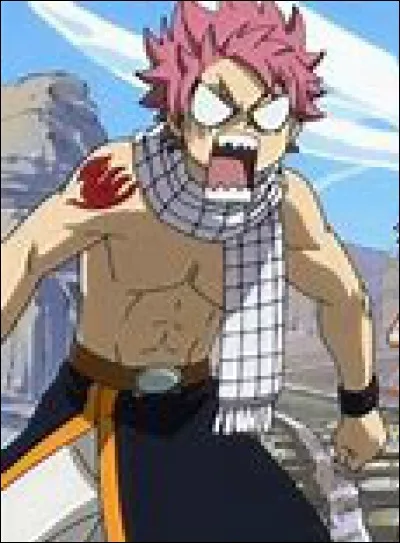 Natsu déteste :