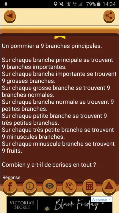 Youpi ! Tu as trouvé (ou pas) !
Tu trouves des traces de pas avec des pièces éparpillées ! Cela doit être le bandit qui a fait tomber par inadvertance son trésor ! Tu suis la piste qui mène à une vieille chaumière. Sur la boîte aux lettres sont marqués ces mots : 
Si vous entrez vous aurez des sérieux ennuis.
F.L.F.
Un cadenas est accroché sur la porte avec une énigme.
Quel est le mot de passe ?