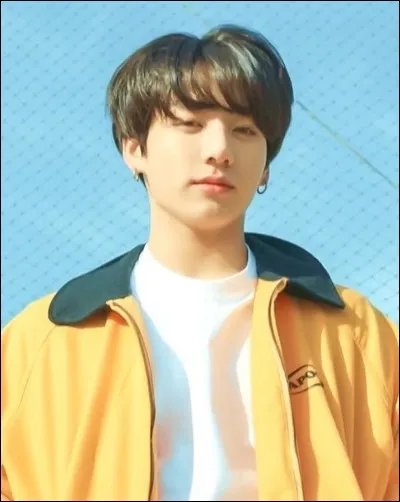 Pourquoi appelle-t-on Jungkook "golden maknae" ?