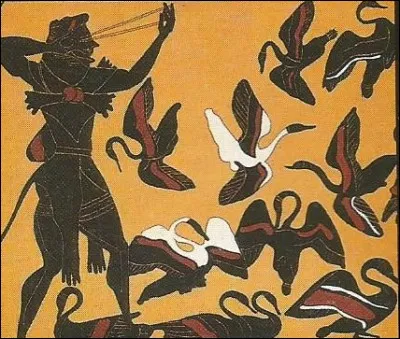 Avec quel moyen réussit-il à abattre les oiseaux de Stymphale aux plumes de fer ?