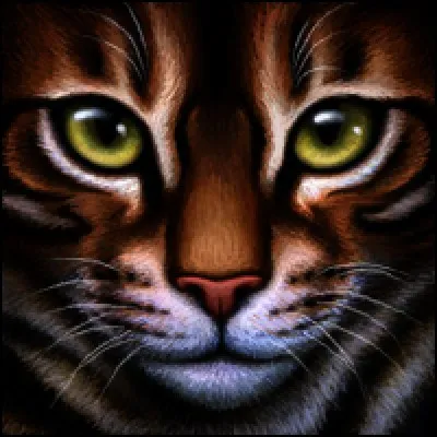 Comment est-il mort ?