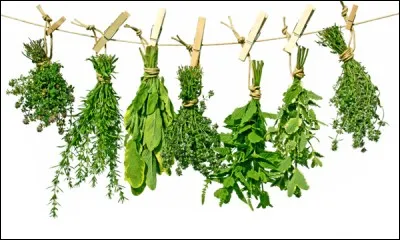 Traditionnellement, de quoi se compose un bouquet garni en cuisine ?