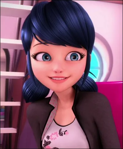 Mada aimerait que vous lui rappeliez en quoi consiste le statut 'Soutien Quizz.biz'.