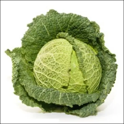 Mada est dure du chou aujourd'hui. 
D'ailleurs, qu'est-ce-qu'un chou, dans le sens littéral ?