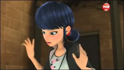 De qui Marinette est-elle amoureuse ?