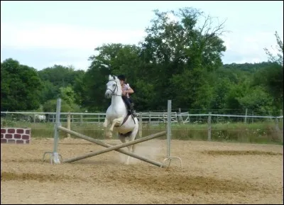 Comment appelle-t-on cet obstacle ?