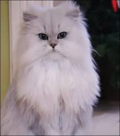 Quelle est la cause de sa mort ?