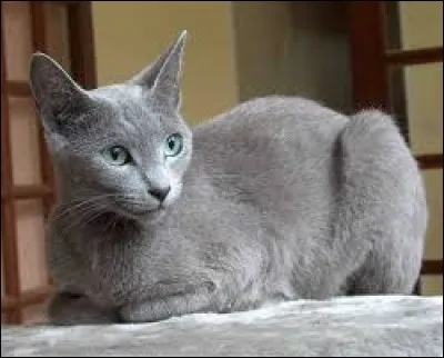 Quel est son nom de guerrière ?