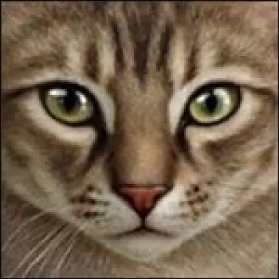 A-t-elle vécu la Grande Sécheresse ?