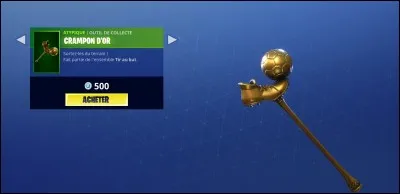 Comment s'appelle cette pioche ?